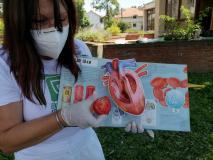 IMG-1e7bd51c622cc458de42b724f6dd6cb3-V