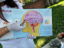 IMG-51ecfa7992c6990309cfa713fed73183-V