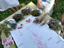 IMG-dce9eeb4e518ffd032ac5b895a13a44b-V