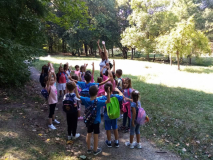 IMG-c99bdc8a904312c90bedcc977df9bb9c-V