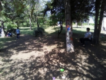 IMG-462338f935f7b21ae0b65ca8c4eeaded-V