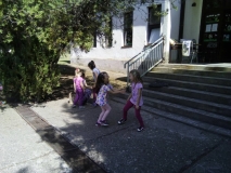 IMG-b9a4dc77e8578bd49418f6cc4079240c-V