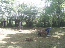 IMG-f2f3b2ced16902044a14774861ee01af-V