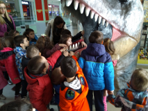 IMG-1716695c852a773b0054b8d302526666-V