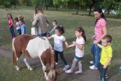 DSCN0491