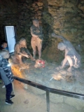 IMG-519bea72dc3ddfc9c49d8114308578cf-V