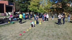 IMG-24155e75d596db3dad8ef35590898890-V