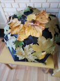 IMG-69e1f5c9f76f520d201a37231b4948b2-V