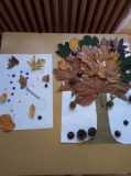 IMG-969a9607f86637db53a6747cb19627f7-V