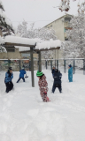 IMG_20190111_094025