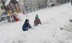 IMG_20190111_094725