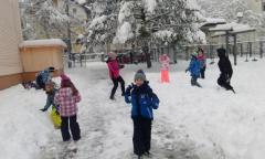 IMG_20190111_094735