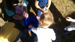 IMG-06ca1ee0268a0de5b58285374491593b-V