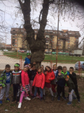 IMG-d60cb9ee62426815374e21ccfbee1119-V