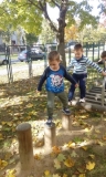IMG_20171017_102536
