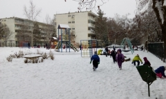 IMG_20170119_101037