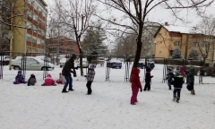 IMG_20170119_101252